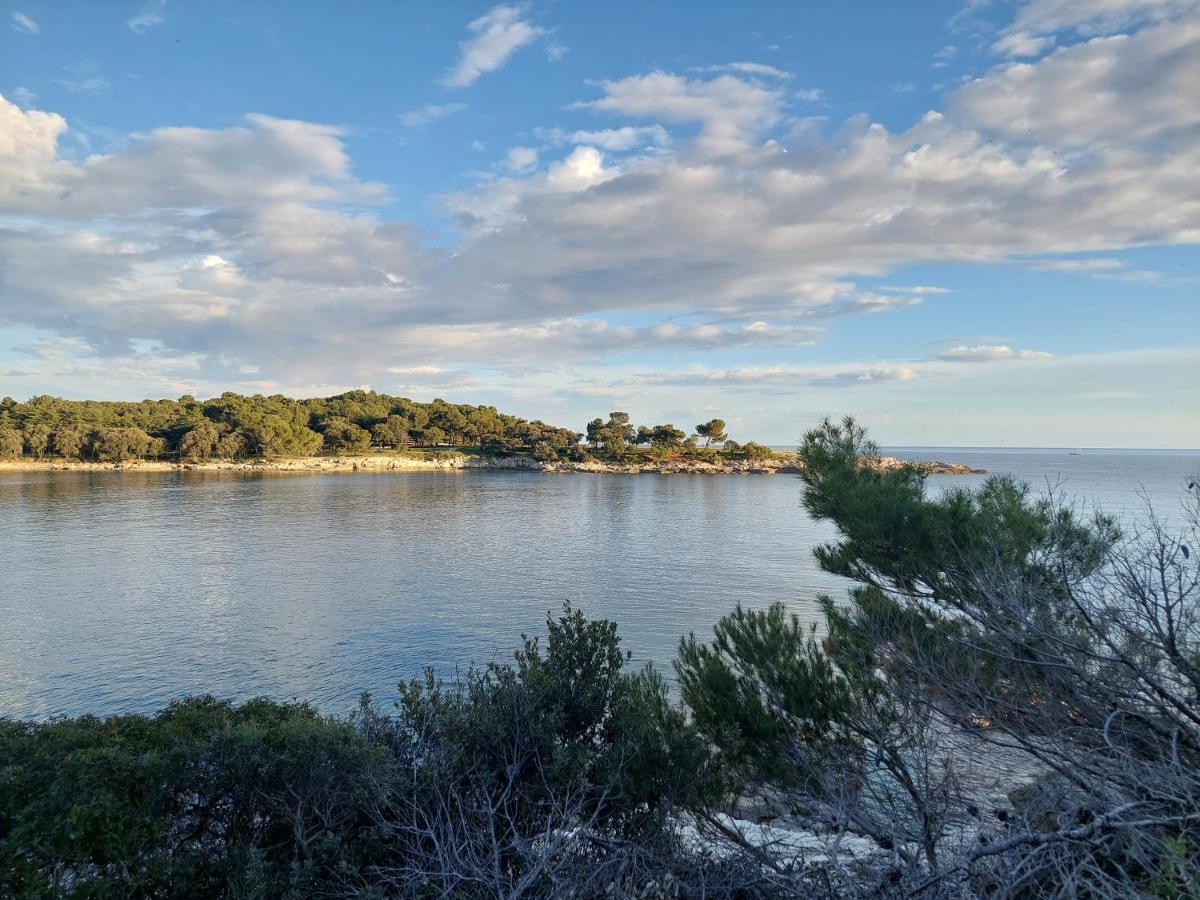 Pulabella Lägenhet Exteriör bild